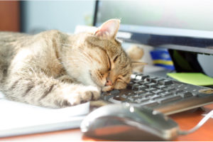 mastering workflow automation a step by step guide to efficiency